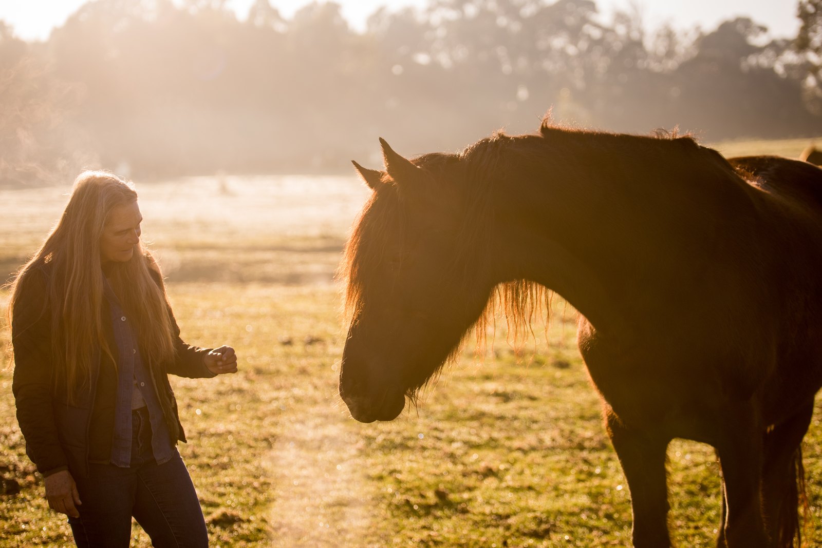 Germaine standing with one of her horses in the early morning light