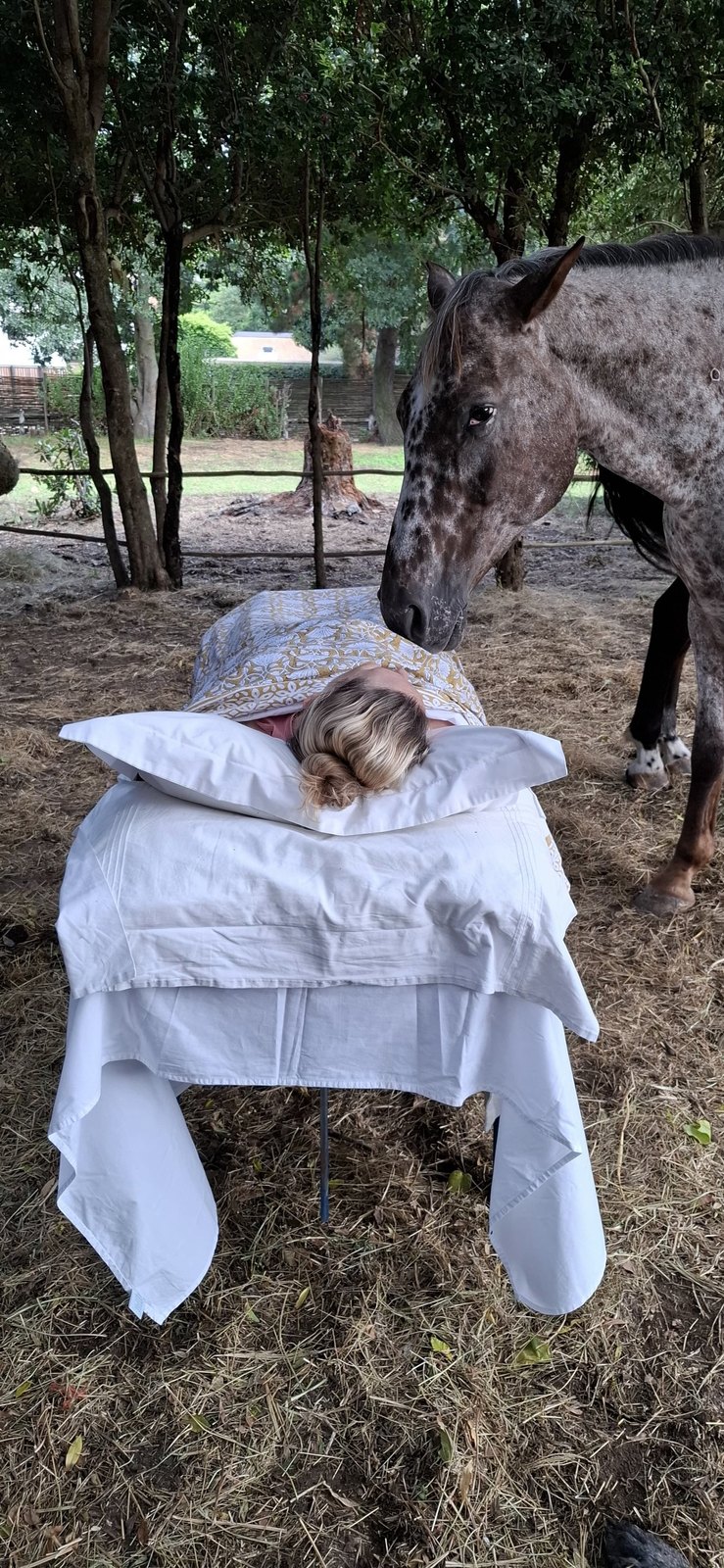 A horse resting its head near a person on the bed