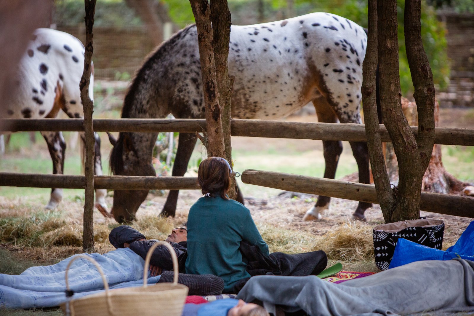 A group lying out in the field at dusk during a sound healing evening