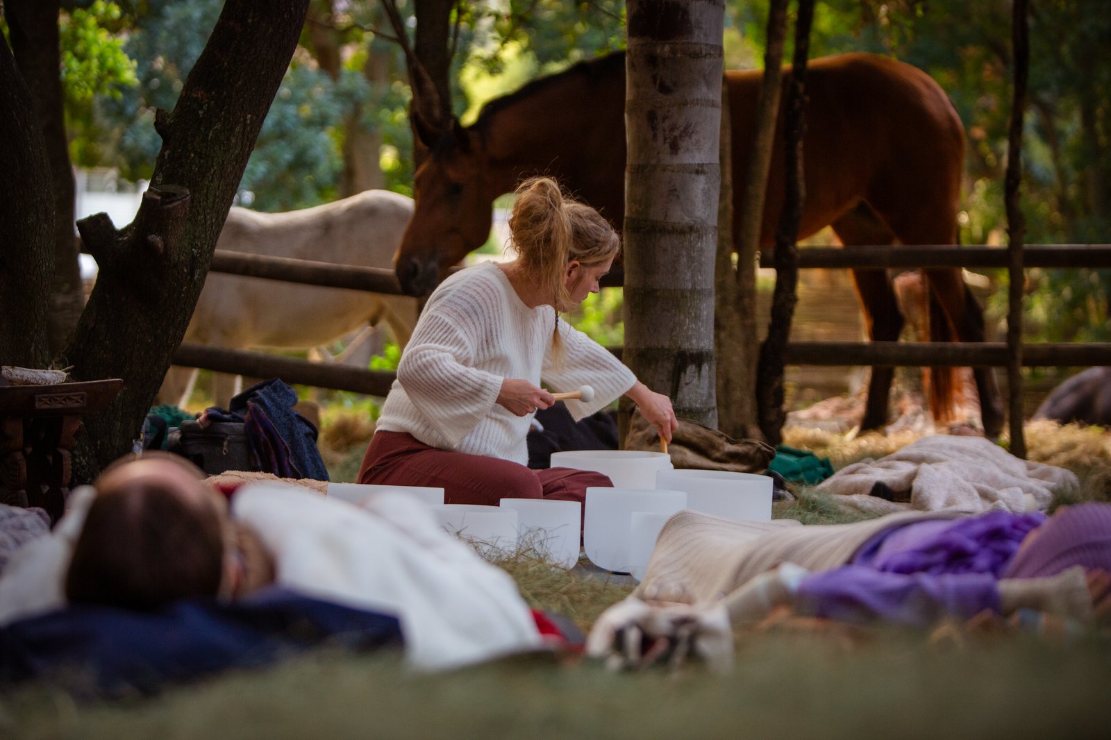 The group laid out under the trees with horses grazing alongside